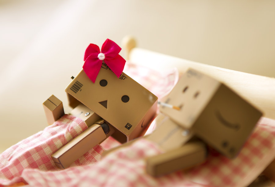 Detail Boneka Danbo Dengan Kata Kata Romantis Nomer 31