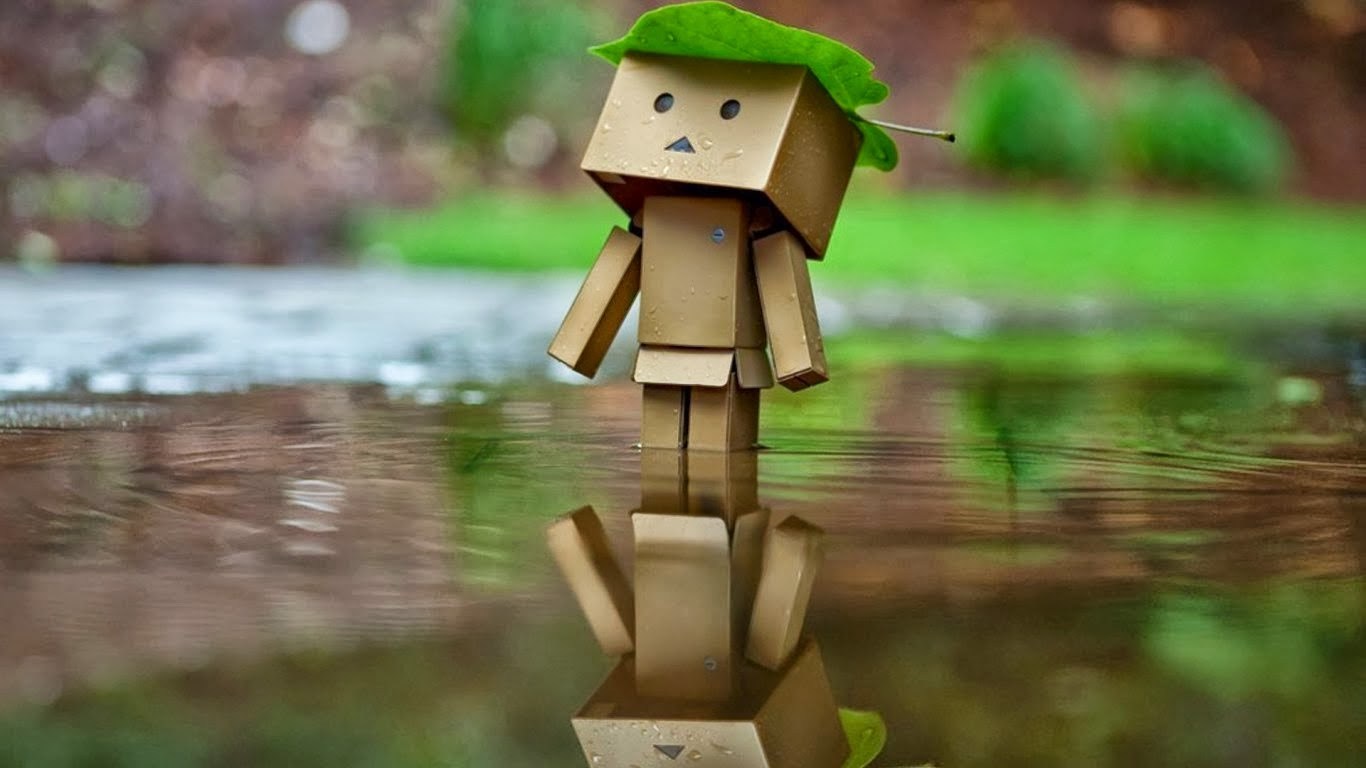 Detail Boneka Danbo Galau Nomer 10