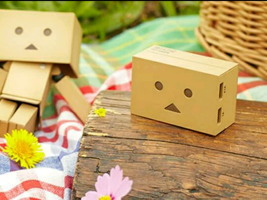 Detail Boneka Danbo Lucu Nomer 13