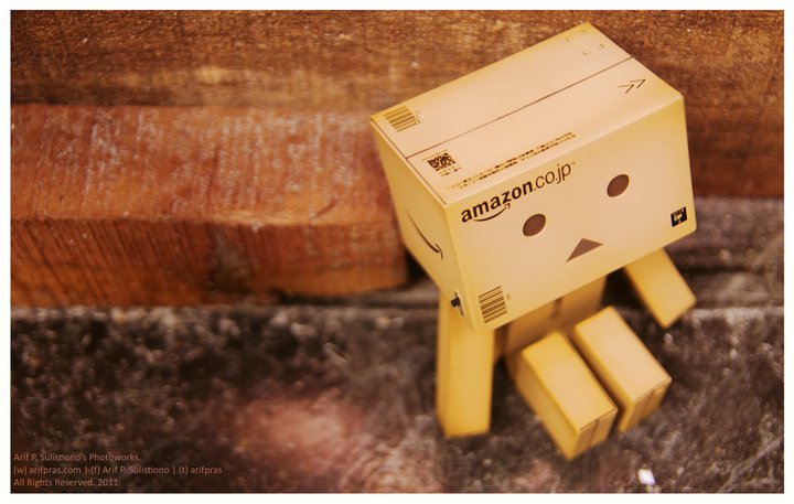 Detail Boneka Danbo Lucu Nomer 4