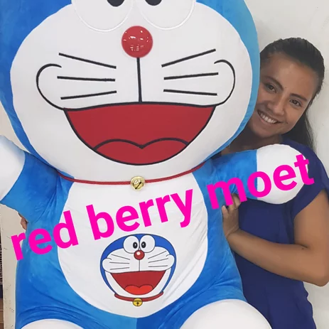 Detail Boneka Doraemon Terbesar Di Dunia Nomer 11