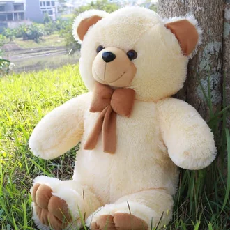 Detail Boneka Imut Lucu Nomer 56