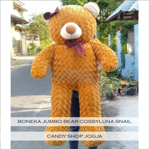 Detail Boneka Jumbo Teddy Bear Nomer 47