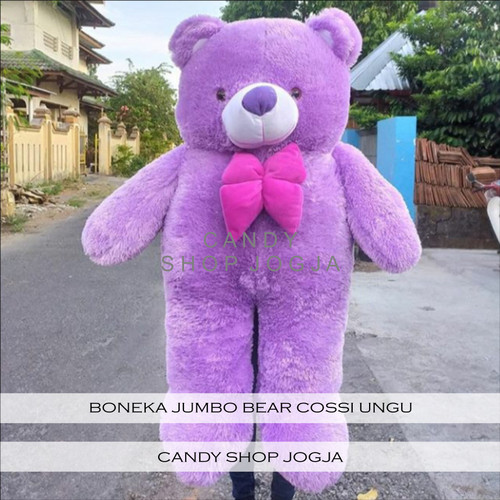 Detail Boneka Jumbo Teddy Bear Nomer 9