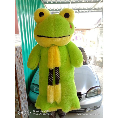 Detail Boneka Keropi Terbaru Nomer 35