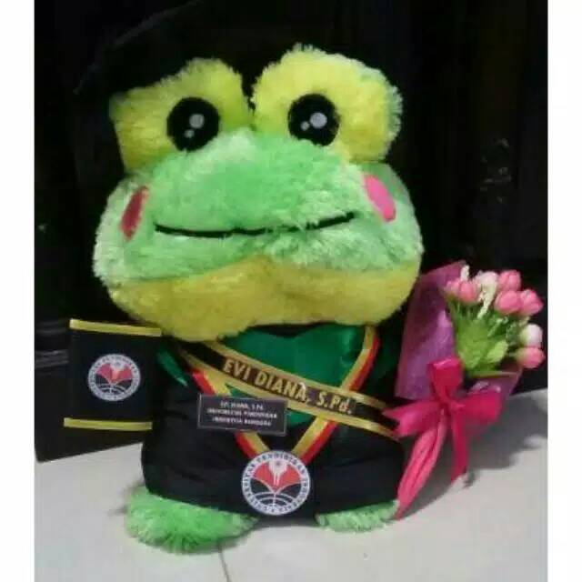 Boneka Keroppi Wisuda - KibrisPDR