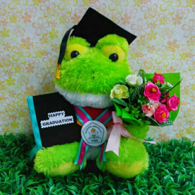 Detail Boneka Keroppi Wisuda Nomer 2