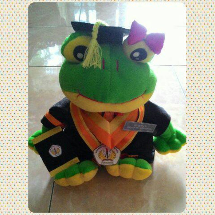 Detail Boneka Keroppi Wisuda Nomer 12