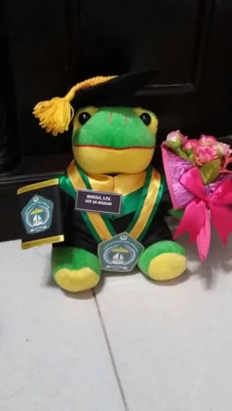 Detail Boneka Keroppi Wisuda Nomer 14