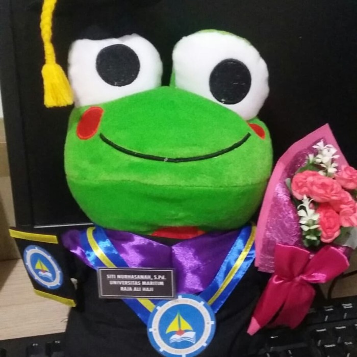 Detail Boneka Keroppi Wisuda Nomer 25