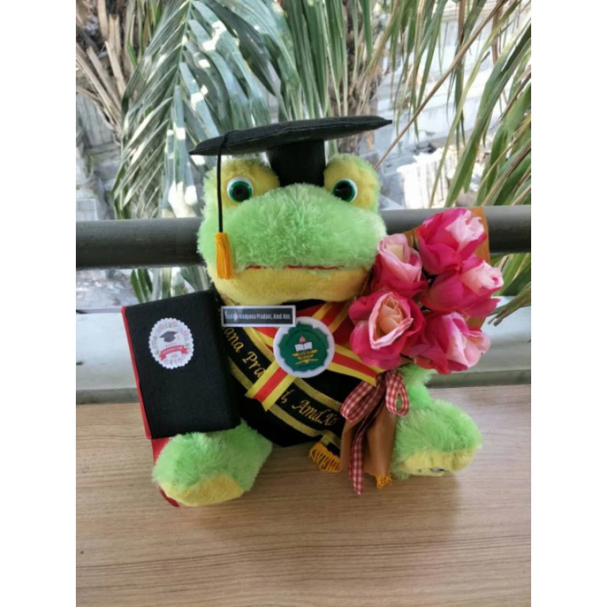 Detail Boneka Keroppi Wisuda Nomer 28