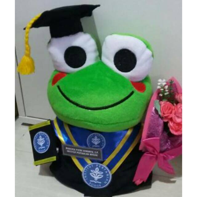 Detail Boneka Keroppi Wisuda Nomer 4