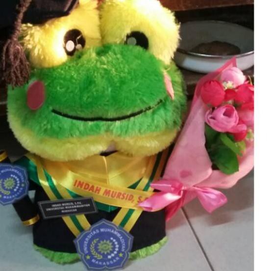 Detail Boneka Keroppi Wisuda Nomer 31