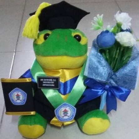 Detail Boneka Keroppi Wisuda Nomer 32