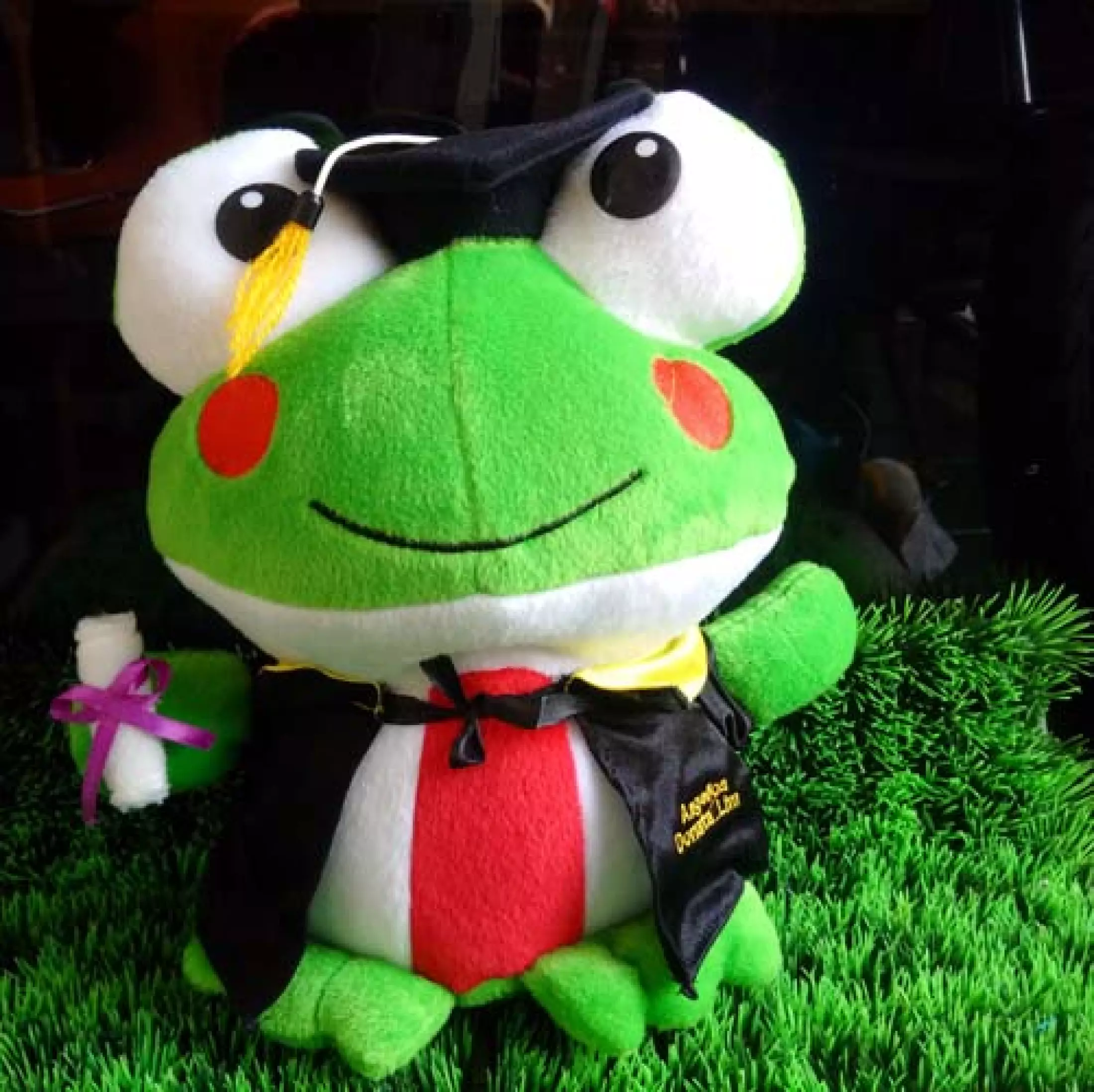 Detail Boneka Keroppi Wisuda Nomer 33