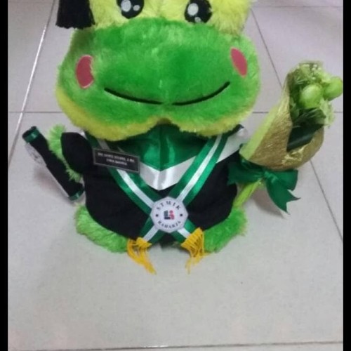 Detail Boneka Keroppi Wisuda Nomer 35