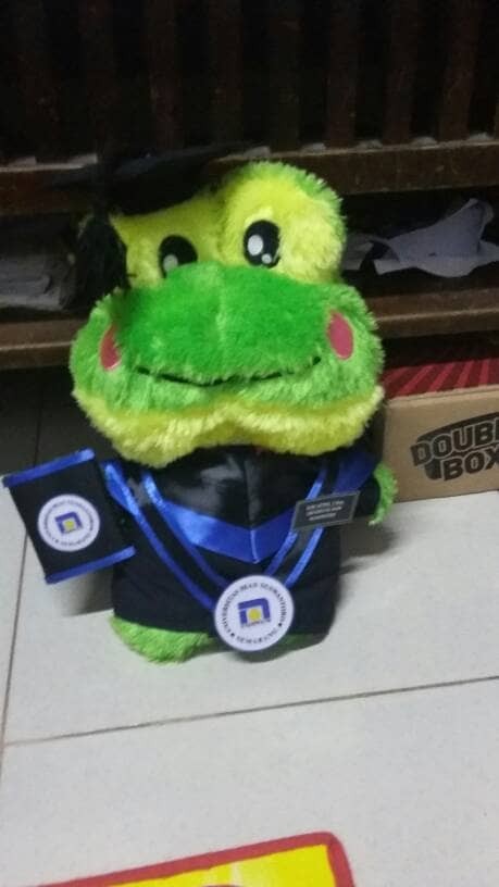 Detail Boneka Keroppi Wisuda Nomer 36