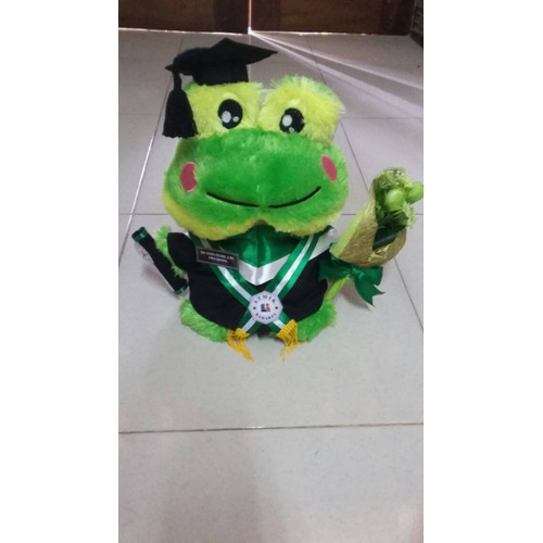 Detail Boneka Keroppi Wisuda Nomer 37