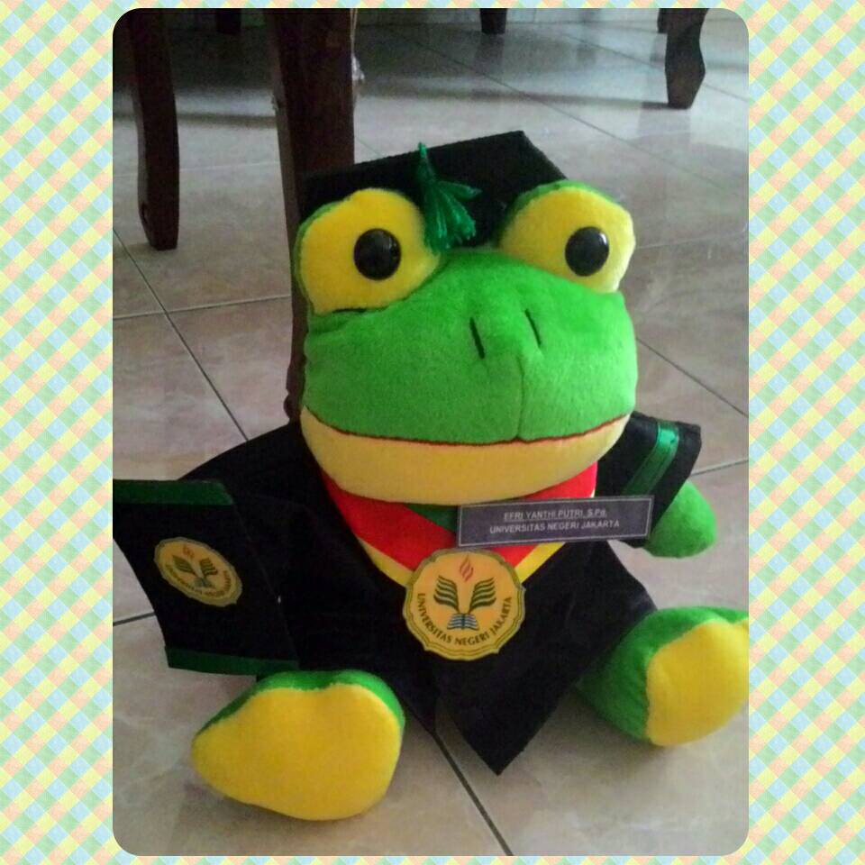 Detail Boneka Keroppi Wisuda Nomer 39