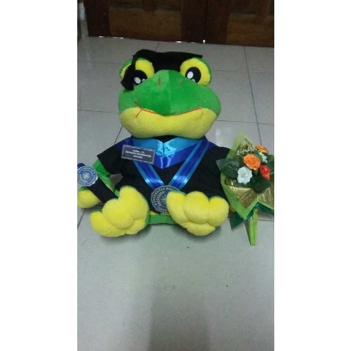 Detail Boneka Keroppi Wisuda Nomer 44