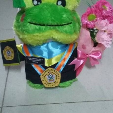 Detail Boneka Keroppi Wisuda Nomer 49