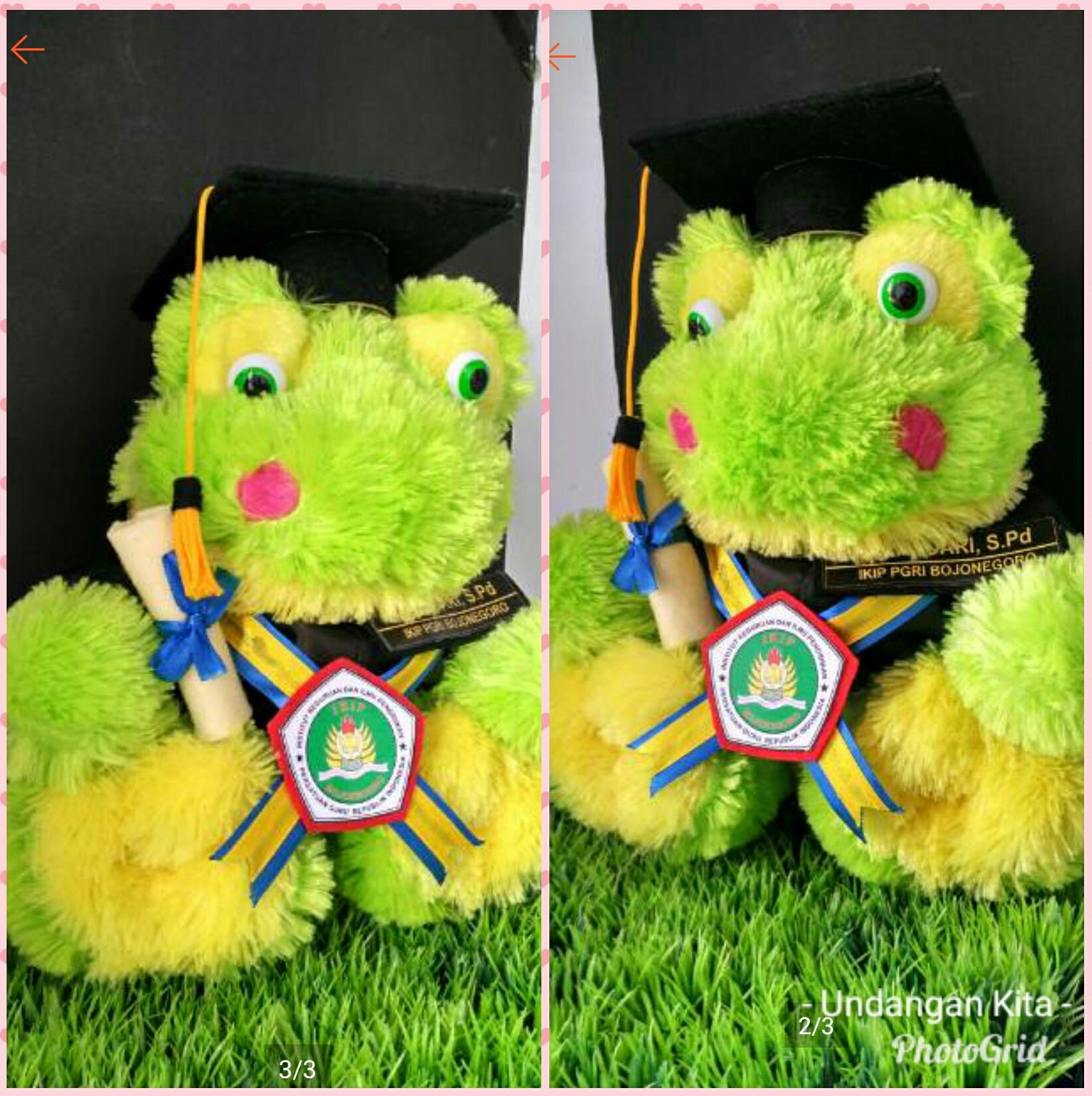 Detail Boneka Keroppi Wisuda Nomer 50