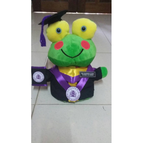 Detail Boneka Keroppi Wisuda Nomer 52