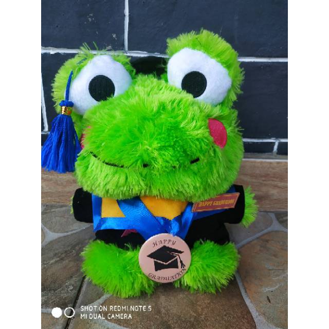 Detail Boneka Keroppi Wisuda Nomer 7