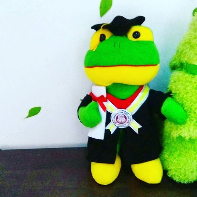 Detail Boneka Keroppi Wisuda Nomer 8