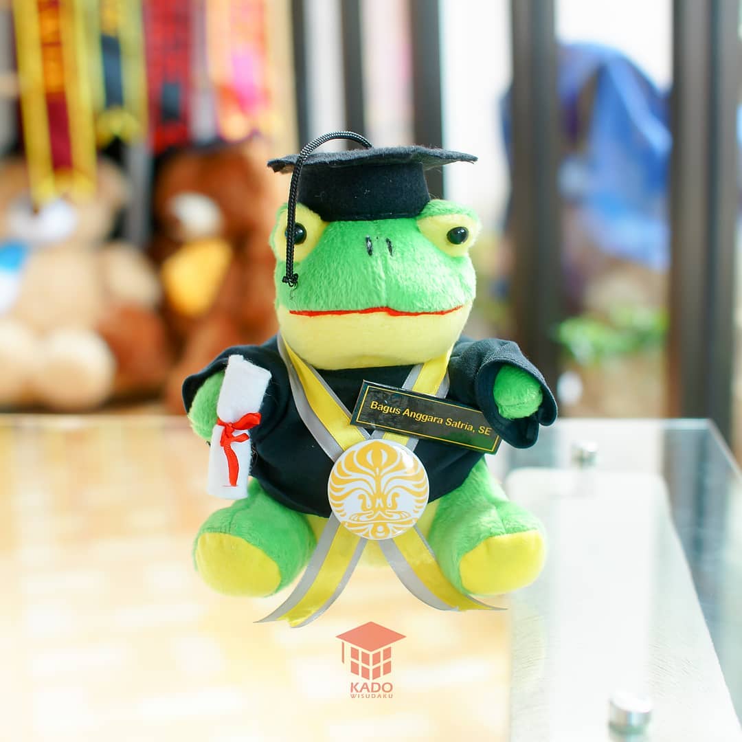 Detail Boneka Keroppi Wisuda Nomer 9