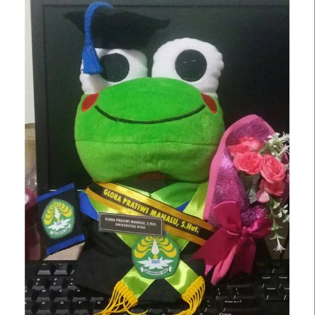 Detail Boneka Keroppi Wisuda Nomer 10