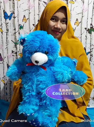 Detail Boneka Lucu Warna Biru Nomer 49