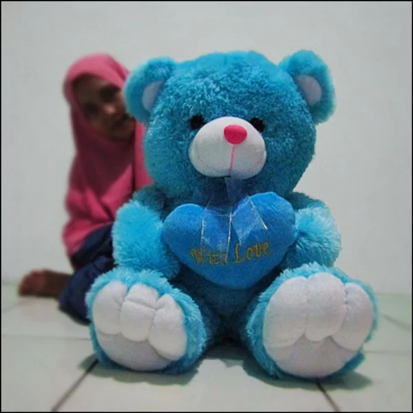 Detail Boneka Lucu Warna Biru Nomer 50