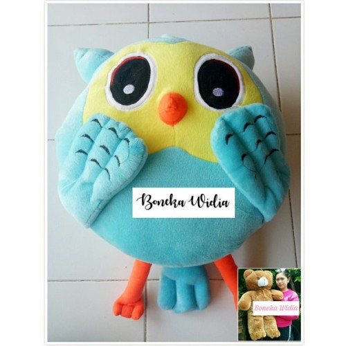 Detail Boneka Owl Lucu Nomer 31