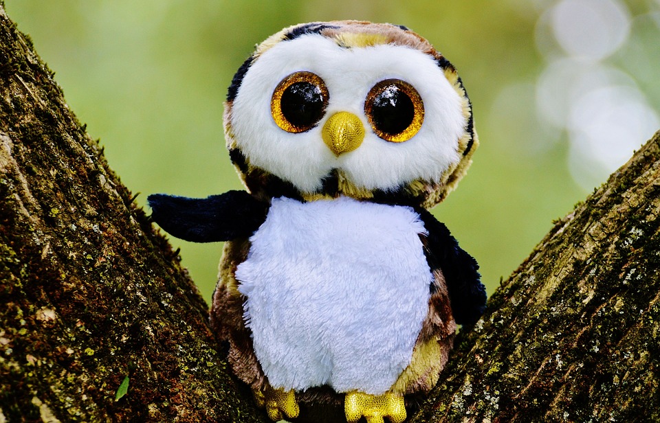 Detail Boneka Owl Lucu Nomer 41