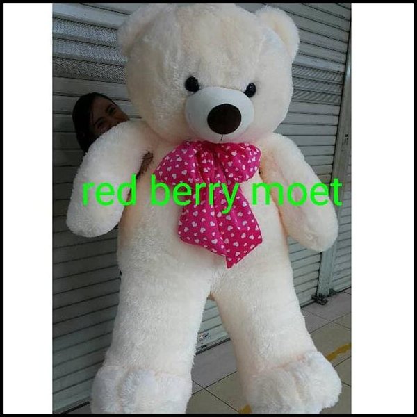 Detail Boneka Paling Imut Nomer 42