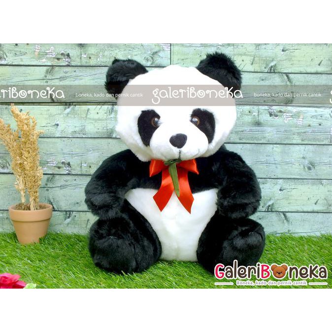 Detail Boneka Paling Imut Nomer 44