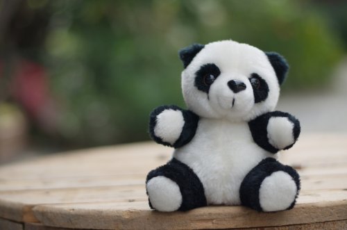 Detail Boneka Panda Lucu Imut Kecil Nomer 23