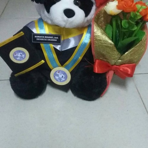 Detail Boneka Panda Wisuda Nomer 14