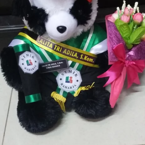 Detail Boneka Panda Wisuda Nomer 17