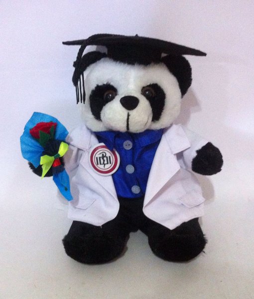 Detail Boneka Panda Wisuda Nomer 22