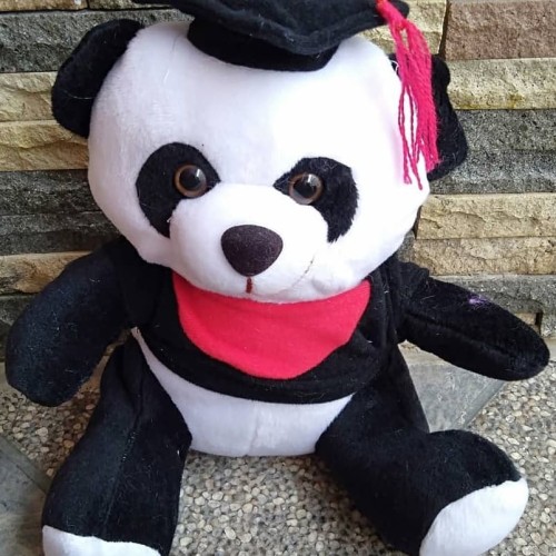 Detail Boneka Panda Wisuda Nomer 26