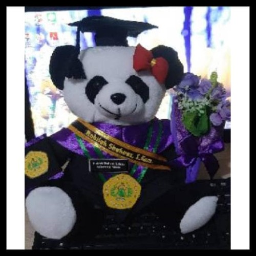 Detail Boneka Panda Wisuda Nomer 29