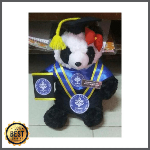 Detail Boneka Panda Wisuda Nomer 40