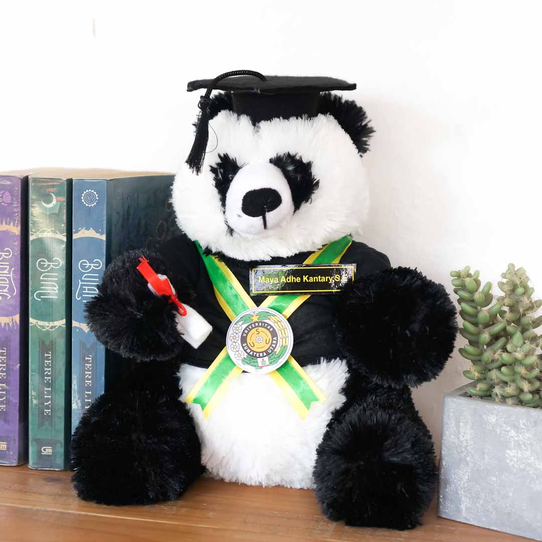 Detail Boneka Panda Wisuda Nomer 44