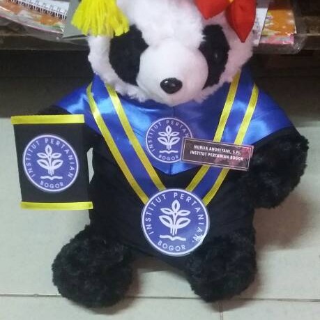 Detail Boneka Panda Wisuda Nomer 51