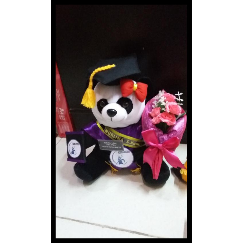 Detail Boneka Panda Wisuda Nomer 55