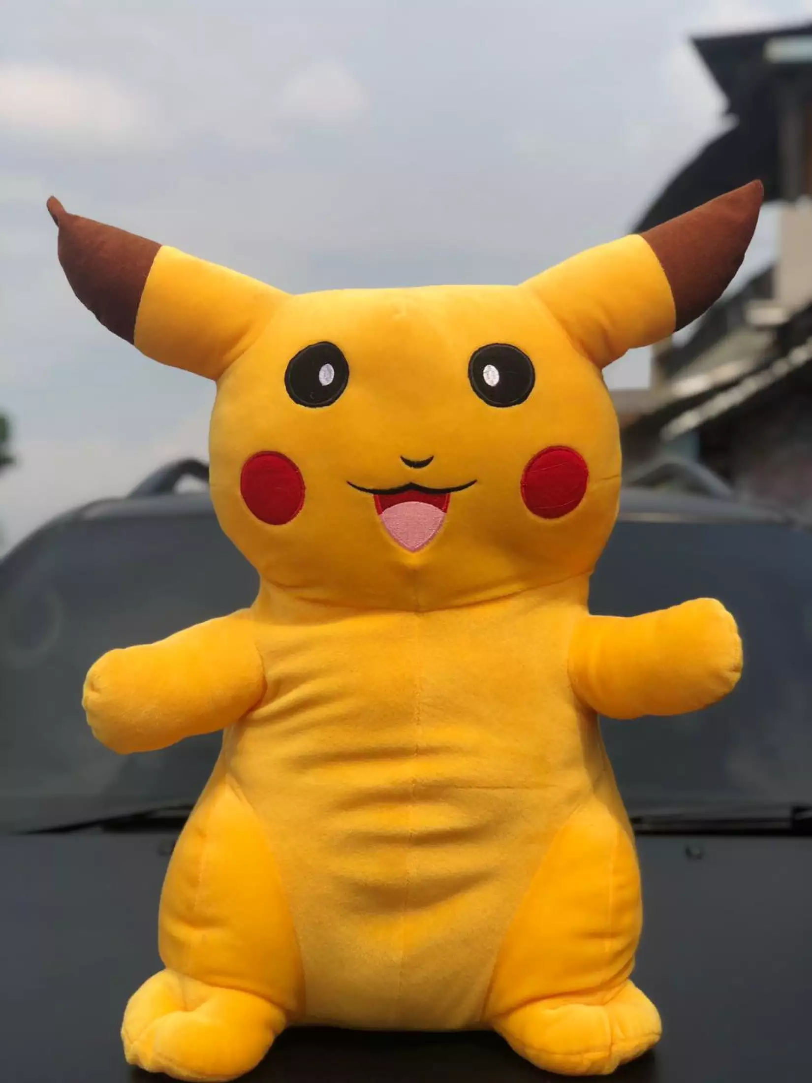 Detail Boneka Pikachu Lucu Nomer 29