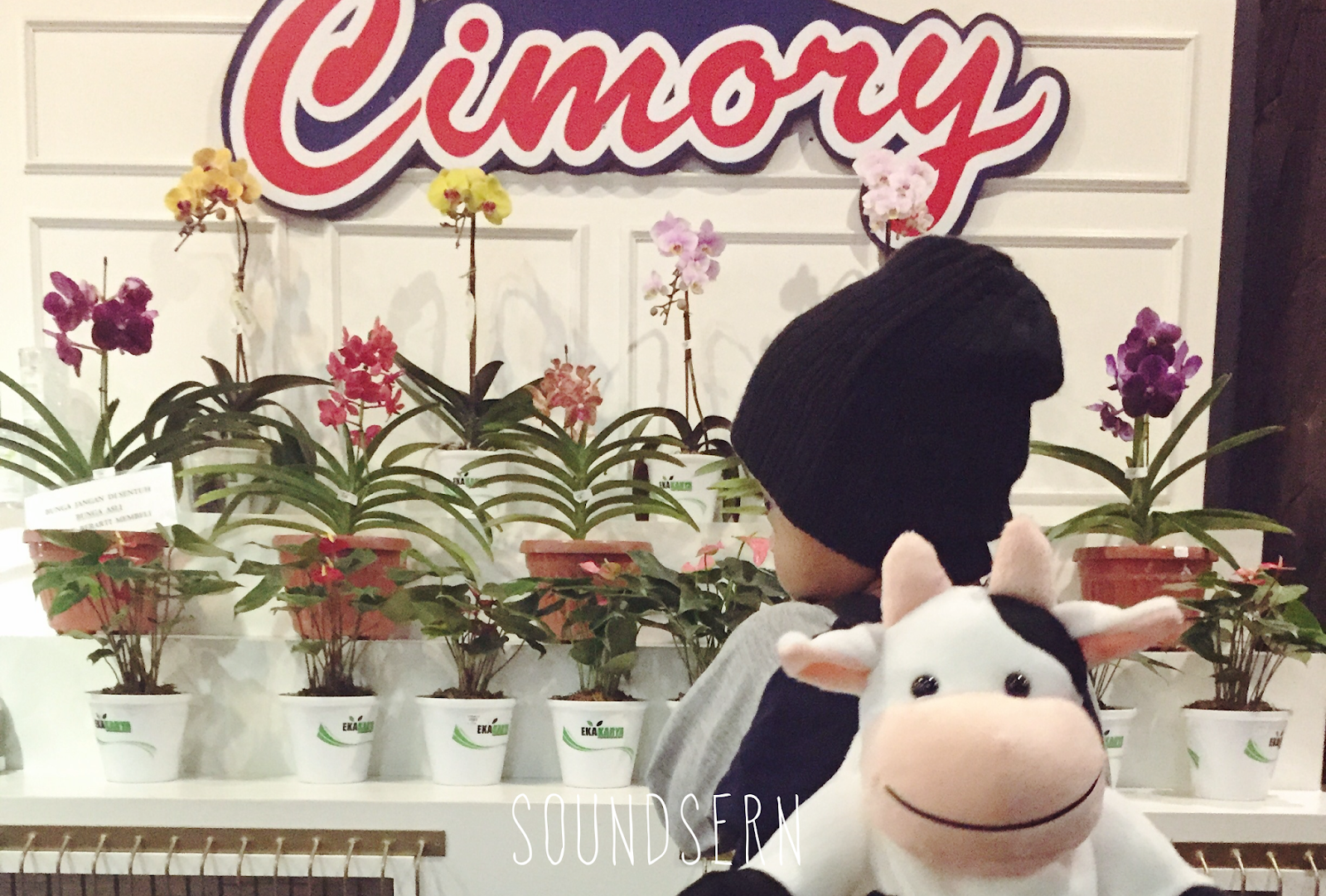Detail Boneka Sapi Cimory Nomer 35