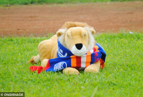 Detail Boneka Singa Arema Nomer 51